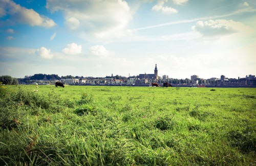 Nijmegen verdient zijn eigen Central Park; houd Veur-Lent groen